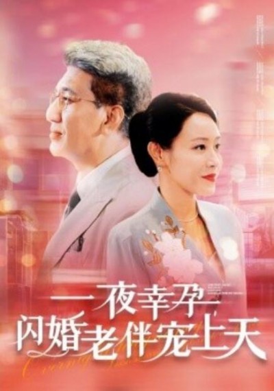 《一夜幸孕，闪婚老伴宠上天》短剧高清全集免费在线观看