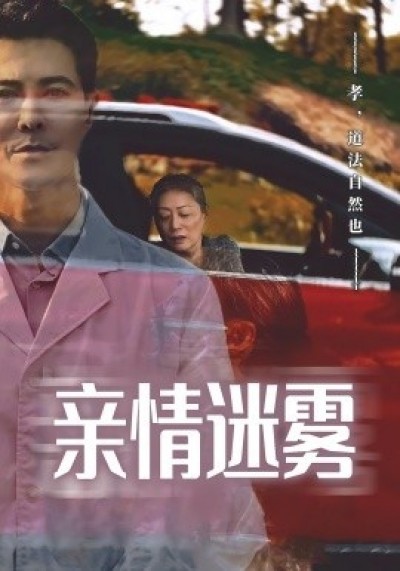 《亲情迷雾》免费在线观看短剧高清全集完整版