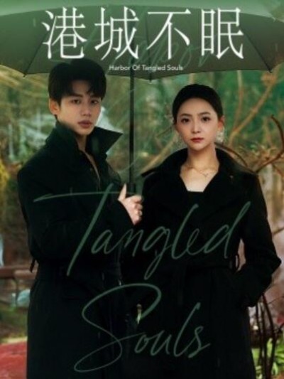 《港城不眠》免费在线观看短剧高清全集完整版