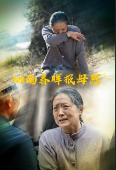 《细雨春晖报母恩》免费在线观看短剧高清全集完整版