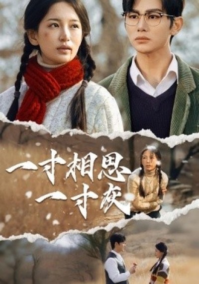 《一寸相思一寸灰》免费在线观看短剧高清全集完整版