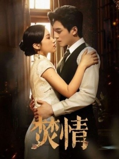《焚情》免费在线观看短剧高清全集完整版