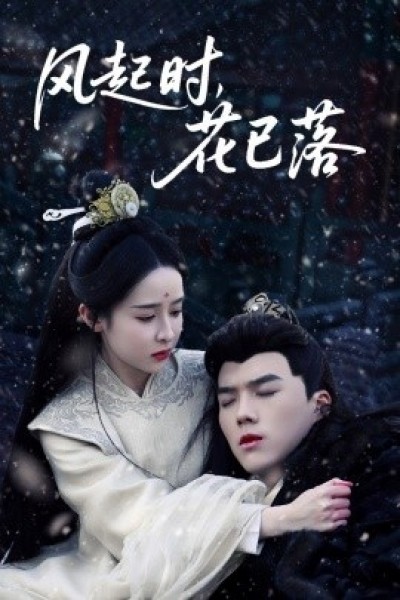 《风起时，花已落》免费在线观看短剧高清全集完整版