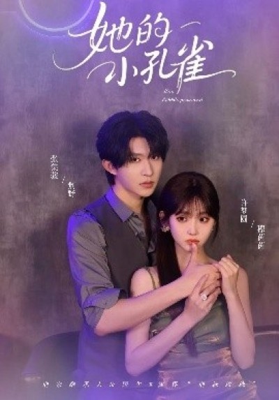 《她的小孔雀》免费在线观看短剧高清全集完整版