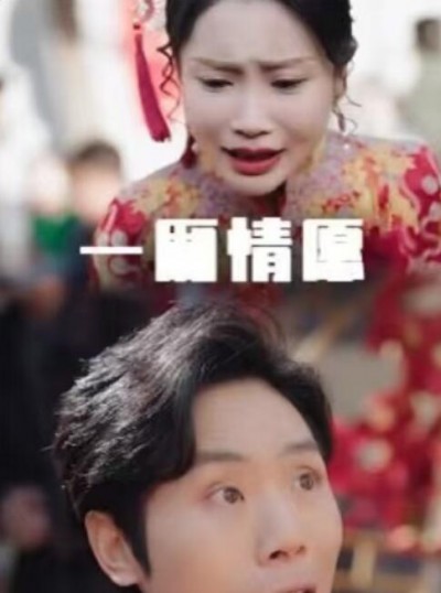 《一厢情愿》免费在线观看短剧高清全集完整版