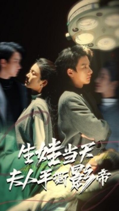 《生娃当天夫人手撕影帝》短剧高清全集免费在线观看