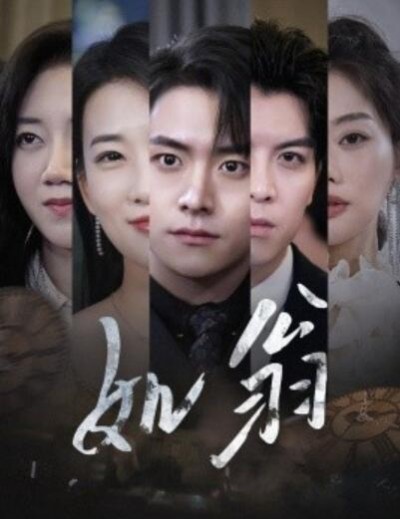 《如翁》短剧高清全集免费在线观看