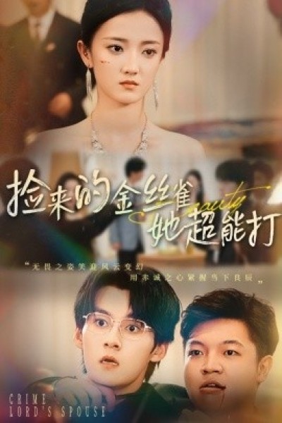《捡来的金丝雀她超能打》免费在线观看短剧高清全集完整版