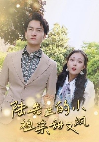 《陆先生的小祖宗甜又飒》免费在线观看短剧高清全集完整版