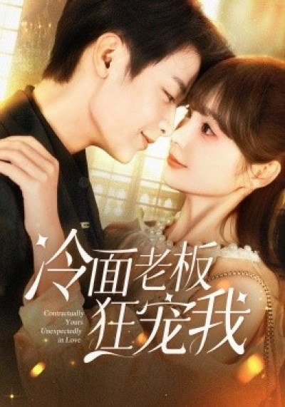 《冷面老板狂宠我》免费在线观看短剧高清全集完整版