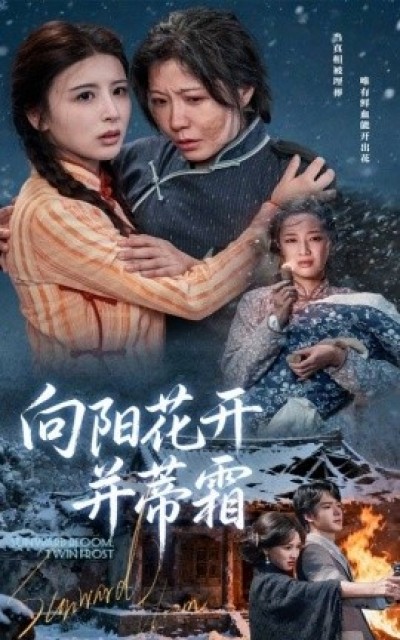 《向阳花开并蒂霜》免费在线观看短剧高清全集完整版