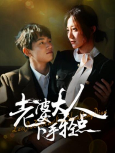 《老婆大人下手轻点》短剧高清全集免费在线观看播放完整版