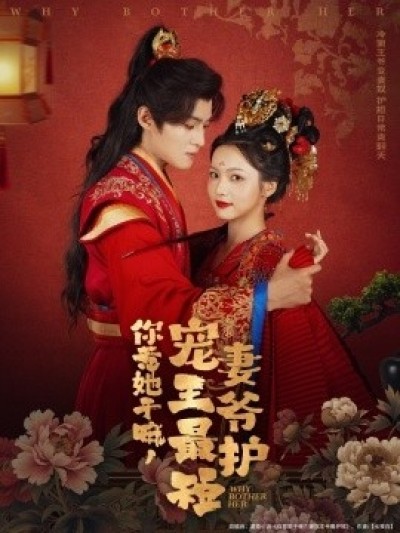 《你惹她干嘛，宠妻王爷最护短》免费在线观看短剧高清全集完整版