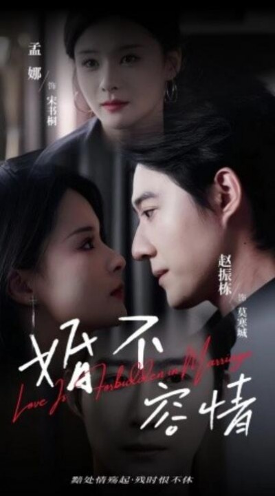 《婚不容情》短剧高清全集免费在线观看播放完整版