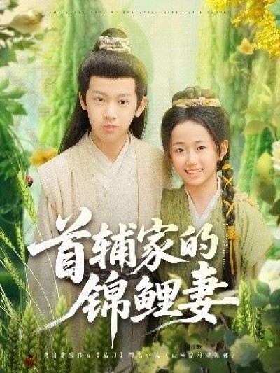 《首辅家的锦鲤妻》免费在线观看短剧高清全集完整版
