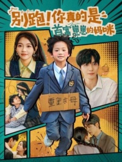 《别跑！你真的是首富崽崽的妈咪》短剧高清全集免费在线观看