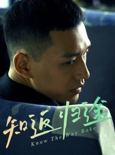 《归途知返》免费在线观看短剧高清全集完整版