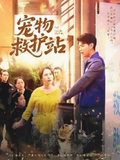 《宠物救护站》免费在线观看短剧高清全集完整版