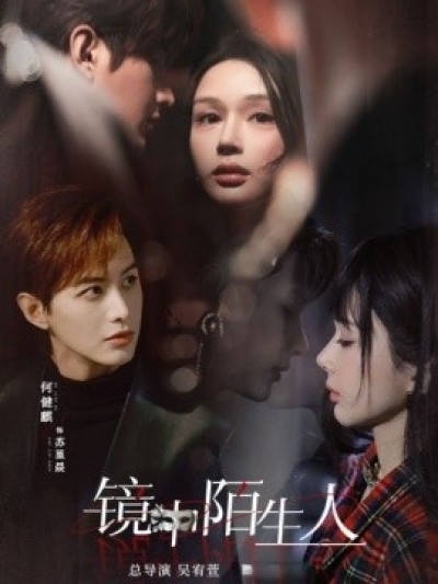 《镜中陌生人》免费在线观看短剧高清全集完整版
