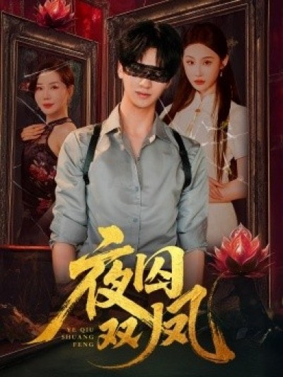 《夜囚双凤》免费在线观看短剧高清全集完整版