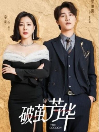 《破茧芳华》短剧高清全集免费在线观看