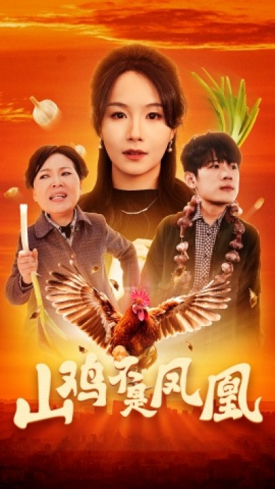 《山鸡不是凤凰》免费在线观看短剧高清全集完整版
