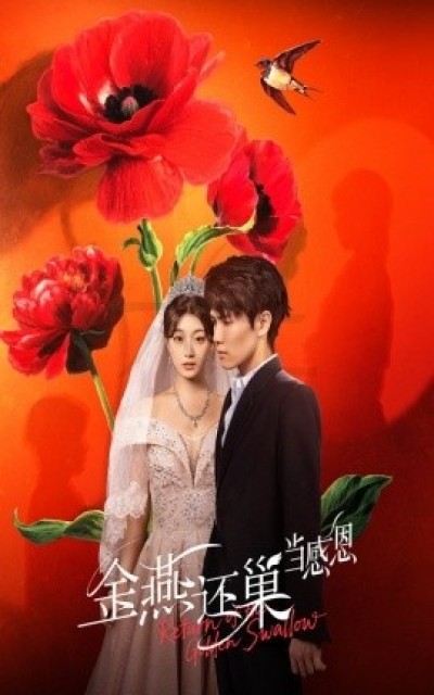 《金燕还巢当感恩》免费在线观看短剧高清全集完整版