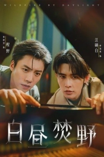 《白昼焚野》免费在线观看短剧高清全集完整版
