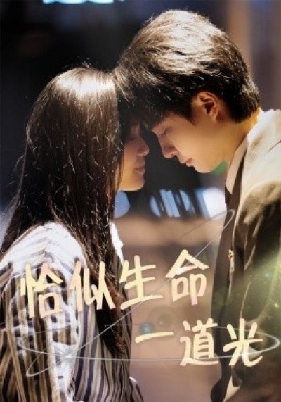 《恰似生命一道光》免费在线观看短剧高清全集完整版