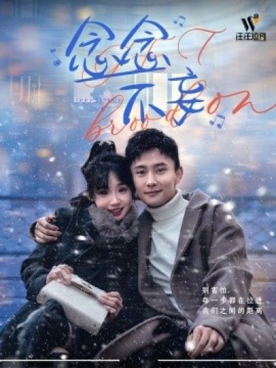 《念念不妄》免费在线观看短剧高清全集完整版