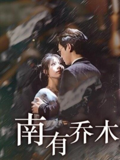 《南有乔木》短剧高清全集免费在线观看播放完整版