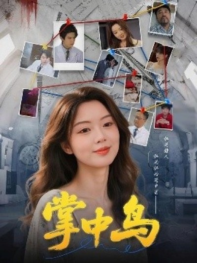 《掌中鸟》免费在线观看短剧高清全集完整版