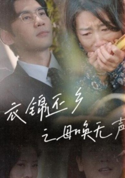 《衣锦还乡之母唤无声》短剧高清全集免费在线观看