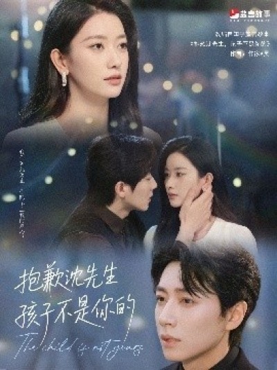 《抱歉沈先生孩子不是你的》免费在线观看短剧高清全集完整版