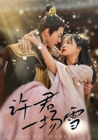 《许君一场雪》免费在线观看短剧高清全集完整版