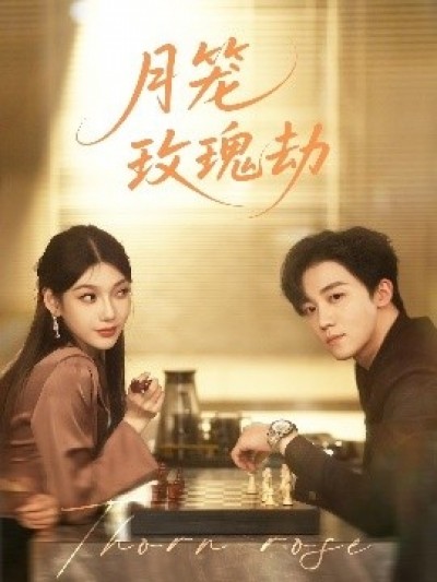 《月笼玫瑰劫》免费在线观看短剧高清全集完整版