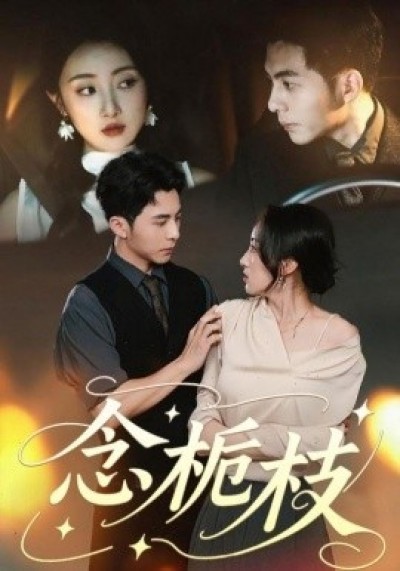 《念栀枝》免费在线观看短剧高清全集完整版