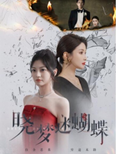 《晓梦迷蝴蝶》短剧高清全集免费在线观看