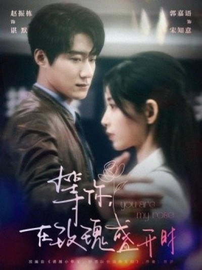 《等你，在玫瑰盛开时》免费在线观看短剧高清全集完整版