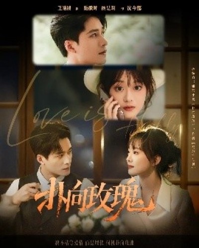 《扑向玫瑰》免费在线观看短剧高清全集完整版