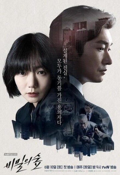 《秘密森林》电视剧高清全集免费在线观看播放完整版