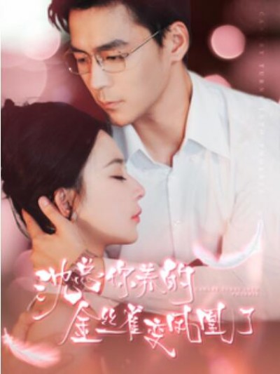《沈总你养的金丝雀变凤凰了》短剧高清全集免费在线观看