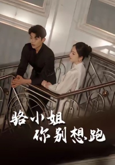 《骆小姐你别想跑》免费在线观看短剧高清全集完整版
