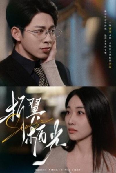 《折翼栖光》免费在线观看短剧高清全集完整版