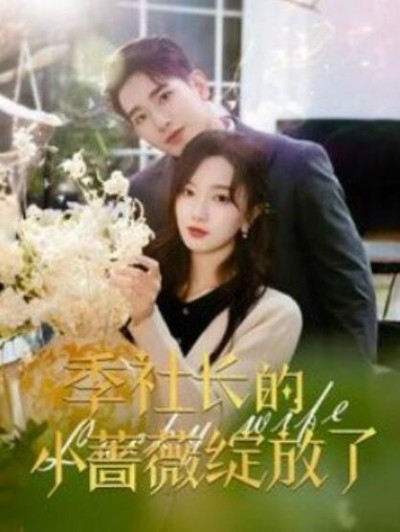 《季社长的小蔷薇绽放了》短剧高清全集免费在线观看