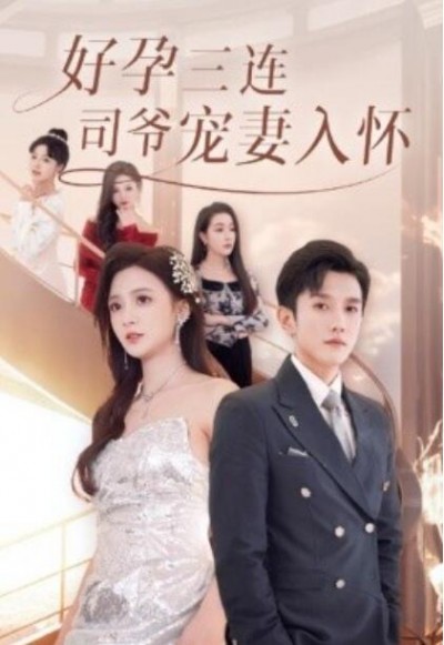 《好孕三连，司爷宠妻入怀》短剧高清全集免费在线观看