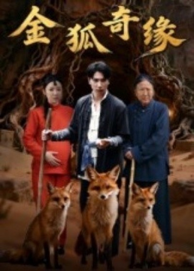 《金狐奇缘》免费在线观看短剧高清全集完整版