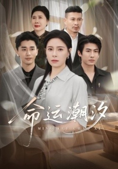 《命运潮汐》免费在线观看短剧高清全集完整版