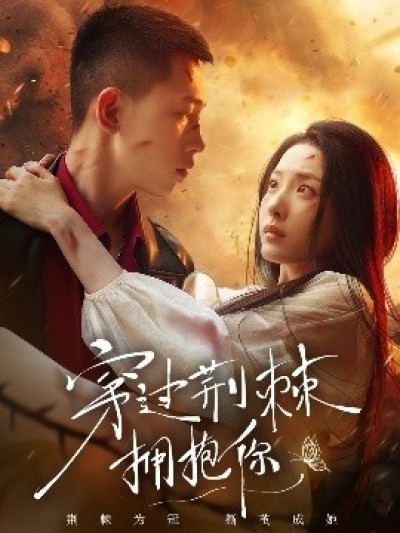 《穿过荆棘拥抱你》免费在线观看短剧高清全集完整版