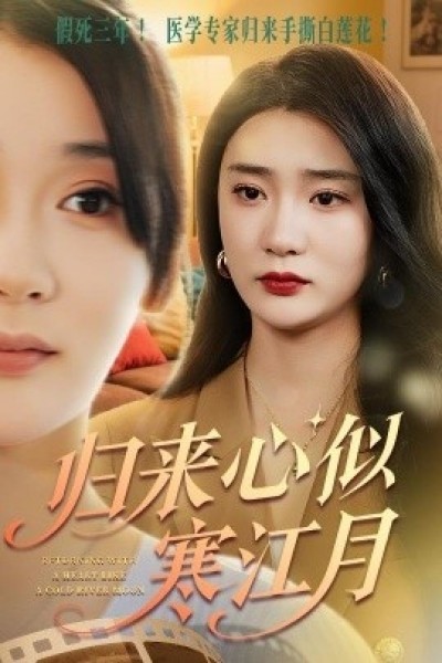 《归来心似寒江月》免费在线观看短剧高清全集完整版